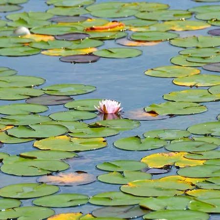 Dermuth - Sonnengrund Pörtschach am Wörthersee