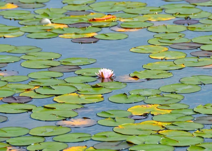 デルムス ソンネングランド Pörtschach am Wörthersee